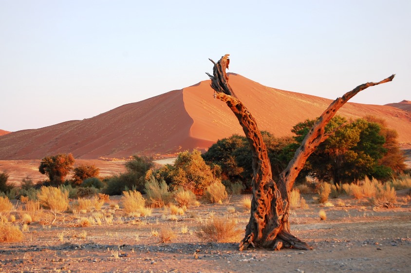 Namibia Cross-Country